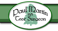 Somerset Tree Surgery Tree Surgeon