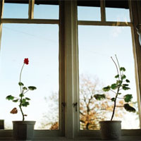 Somerset window and door repair service glazing hinges locks taunton 