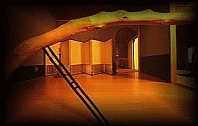 attic conversion