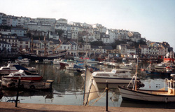 Devon  Local Services Brixham