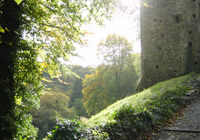 Devon  Local Services Okehampton