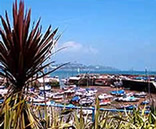 Devon  Local Services Paignton